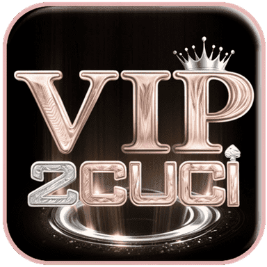 VIP2Cuci logo